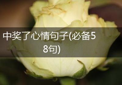 中奖了心情句子(必备58句)