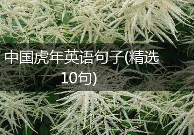 中国虎年英语句子(精选10句)