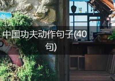 中国功夫动作句子(40句)