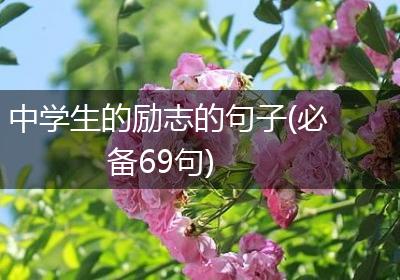 中学生的励志的句子(必备69句)