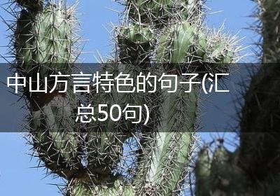 中山方言特色的句子(汇总50句)