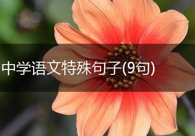 中学语文特殊句子(9句)