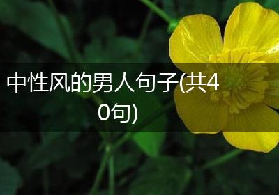 中性风的男人句子(共40句)