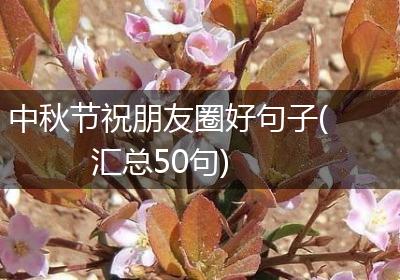 中秋节祝朋友圈好句子(汇总50句)