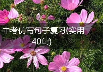 中考仿写句子复习(实用40句)