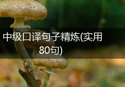中级口译句子精炼(实用80句)