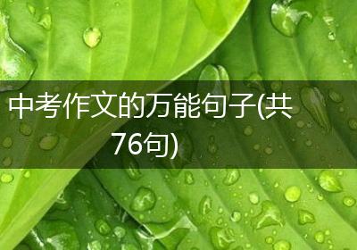 中考作文的万能句子(共76句)