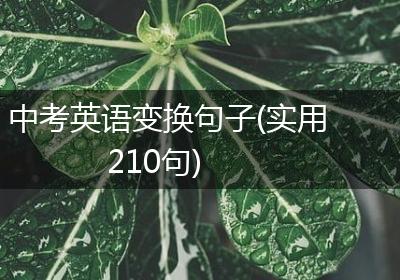 中考英语变换句子(实用210句)