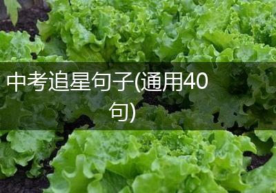 中考追星句子(通用40句)