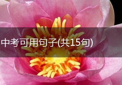 中考可用句子(共15句)