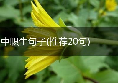 中职生句子(推荐20句)