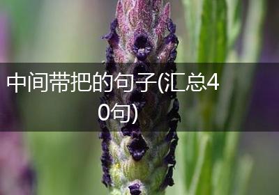 中间带把的句子(汇总40句)