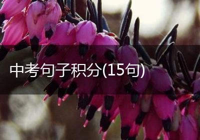 中考句子积分(15句)