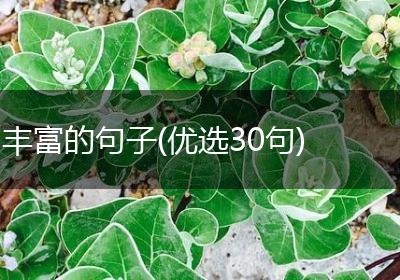 丰富的句子(优选30句)
