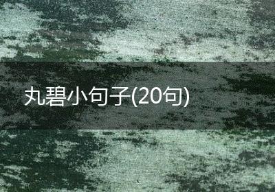 丸碧小句子(20句)