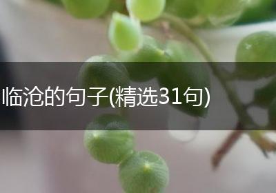 临沧的句子(精选31句)