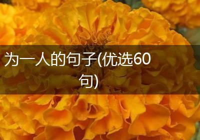 为一人的句子(优选60句)