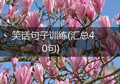 丶笑话句子训练(汇总40句)