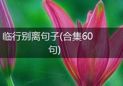 临行别离句子(合集60句)