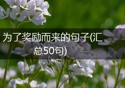 为了奖励而来的句子(汇总50句)