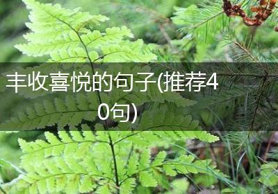 丰收喜悦的句子(推荐40句)