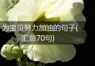 为宝贝努力加油的句子(汇总70句)
