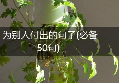 为别人付出的句子(必备50句)