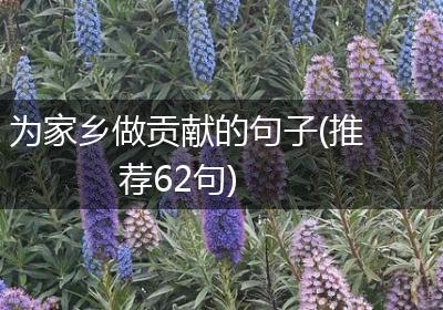 为家乡做贡献的句子(推荐62句)