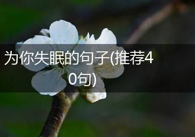 为你失眠的句子(推荐40句)