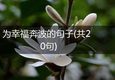 为幸福奔波的句子(共20句)