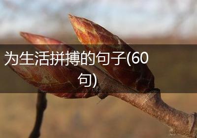 为生活拼搏的句子(60句)
