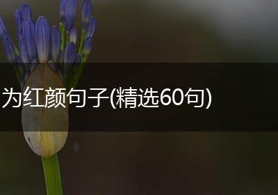 为红颜句子(精选60句)