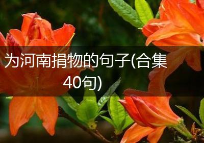 为河南捐物的句子(合集40句)