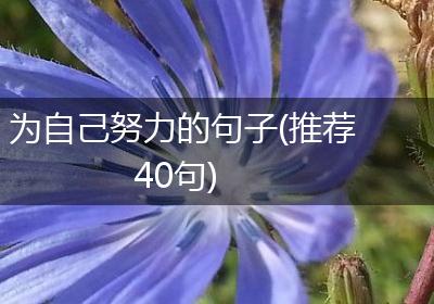 为自己努力的句子(推荐40句)