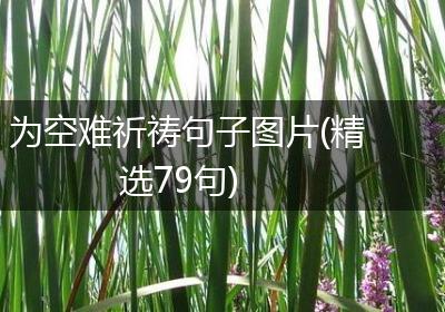 为空难祈祷句子图片(精选79句)