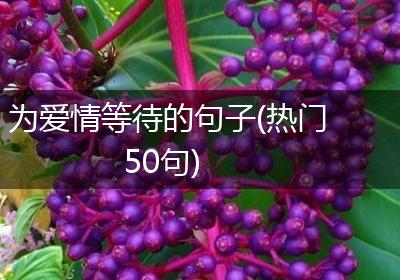 为爱情等待的句子(热门50句)