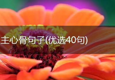 主心骨句子(优选40句)