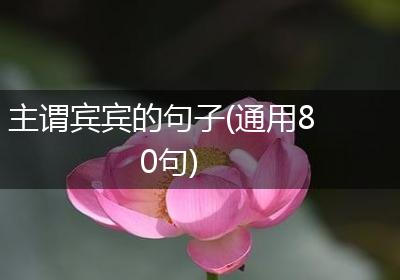 主谓宾宾的句子(通用80句)