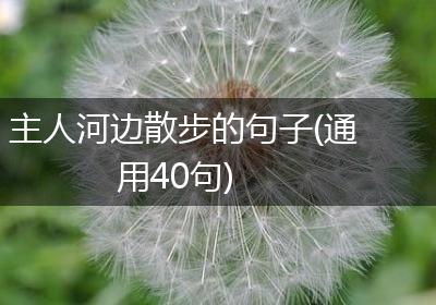 主人河边散步的句子(通用40句)