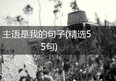 主语是我的句子(精选55句)