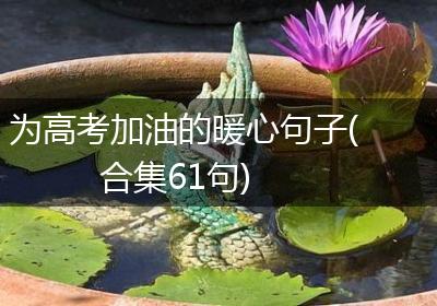 为高考加油的暖心句子(合集61句)