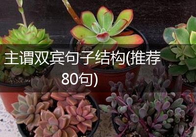 主谓双宾句子结构(推荐80句)
