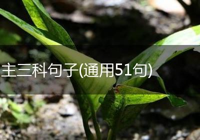 主三科句子(通用51句)