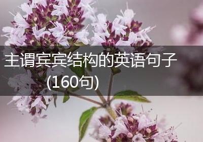 主谓宾宾结构的英语句子(160句)