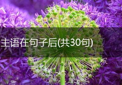 主语在句子后(共30句)