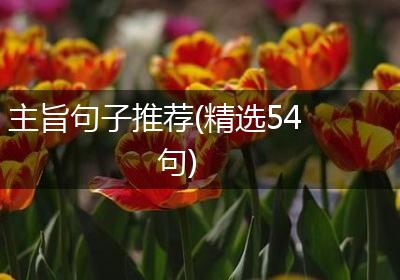 主旨句子推荐(精选54句)