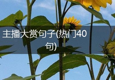 主播大赏句子(热门40句)