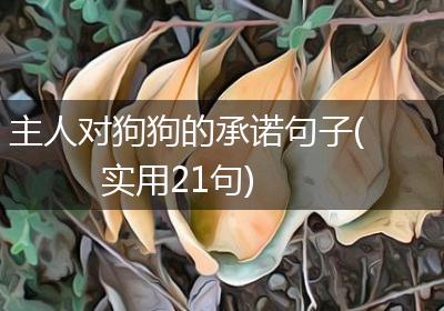 主人对狗狗的承诺句子(实用21句)