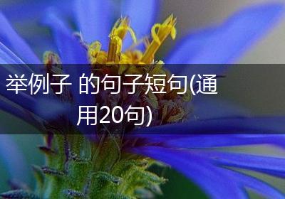 举例子 的句子短句(通用20句)