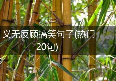 义无反顾搞笑句子(热门20句)